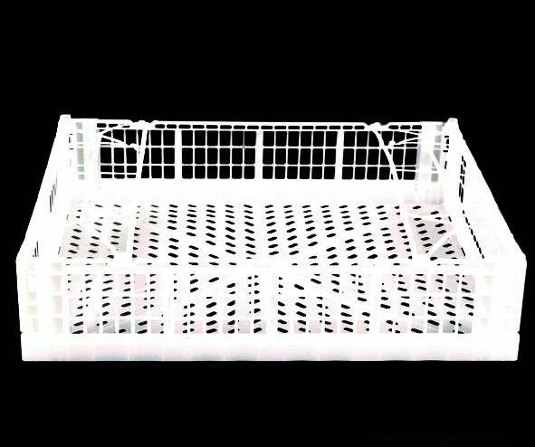 CAJA 5040 11H EF caja de Plastico Para empaque y Entrega Final de productos en la industria Fruticola y agroAlimentaria , Medidas 508 x 406 x 117H mm Apta para Empaque final y/o exportacion de Frutas Dirigida a empaque de INdustria fruticola , compatible con todo tipo de Pallets Y Tarimas de Plastico , Aptas en empaque de Frutas Para mejor conservacion de producto en almacenes en Frio Hasta consumidr Final , Alta productividad para Todo tipo de productos de la industria fruticola y Agricola Mexicana